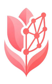 tulipmediaa.com